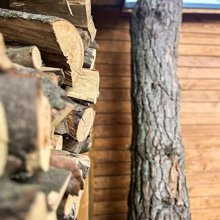 Pachnie Lasem. Wysoki Standard, Bliskosc Natury. Casa vacanze Stare Wierzchowo